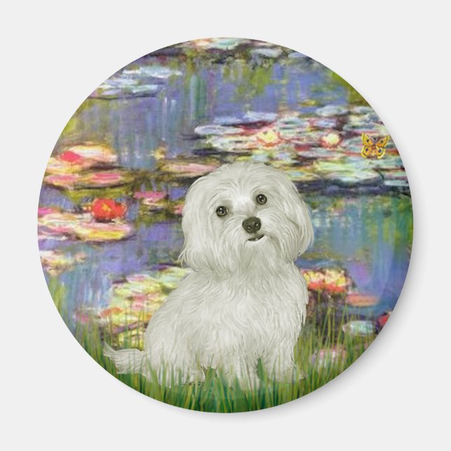 Imán Maltés 11 - Lilies 2 (Frente)