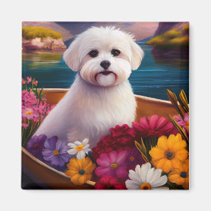 Imán Maltés en un remo: Una aventura escénica