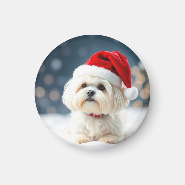 Imán Maltese Christmas Maltese Magnet (Frente)