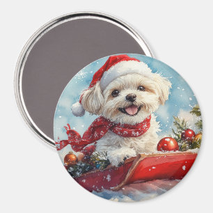 Imán Malti Tzu Perro en Trineo Deja que Nieve Navidad