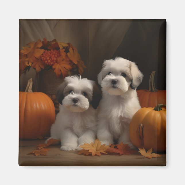 Imán Malti tzu Puppy Calabaza deslumbrante de otoño (Frente)
