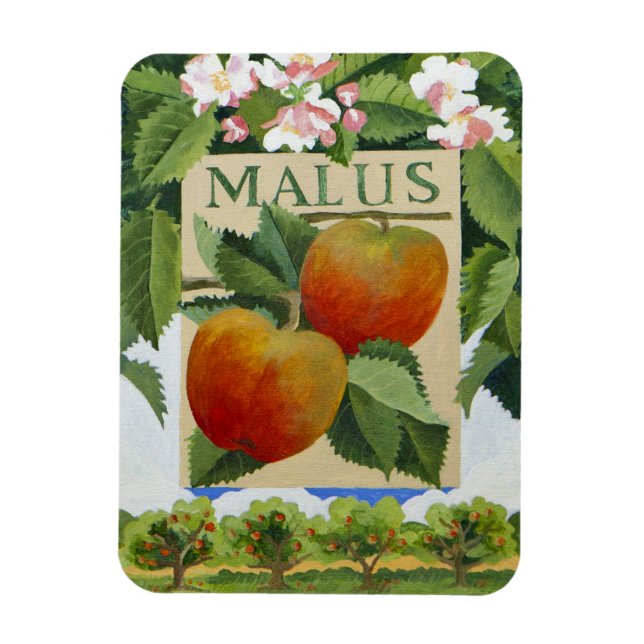 Imán Malus (Vertical)