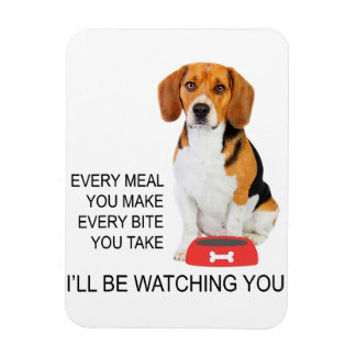 Imán mamá beagle cada comida que hagas, estará viendo b
