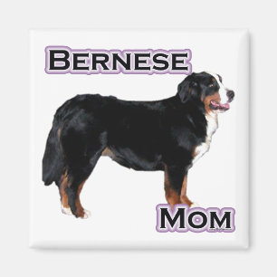 Imán Mamá Bernesa 4 - Magnet