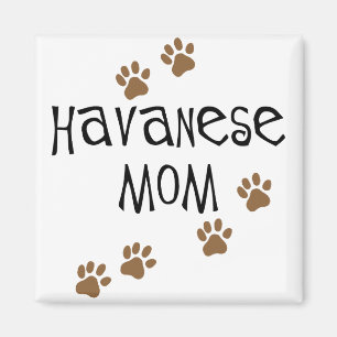Imán Mamá de Havanese