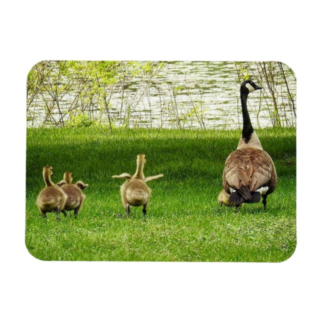 Imán Mama Goose y Goofy Baby (Horizontal)