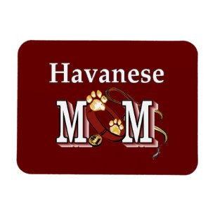 Imán Mamá habanesa