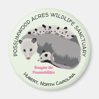 Imán Mama Opossum Magnet
