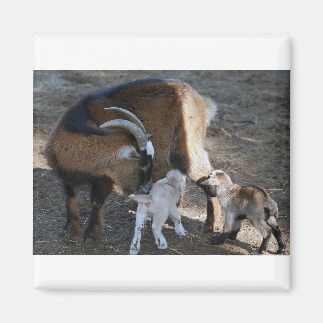 Imán Mamá y bebés (Frente)