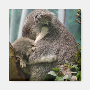 Imán Mamá y Recién nacido de Koala