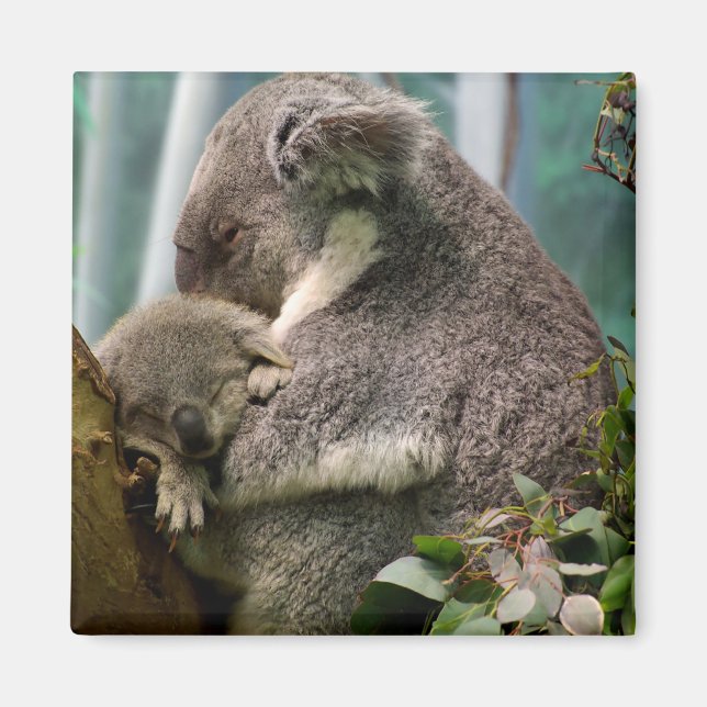 Imán Mamá y Recién nacido de Koala (Frente)
