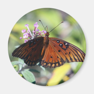 Imán Mamáes bien escogidas