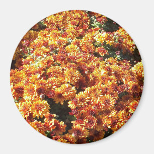 Imán Mamáes de otoño