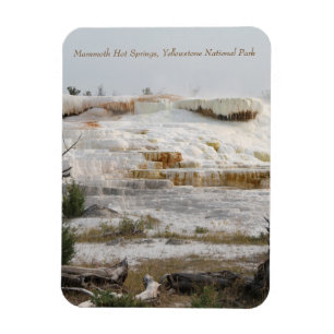 Imán Mammoth Hot Springs, Parque Nacional Yellowstone