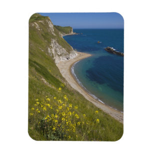 Imán Man o War Bay, Costa Jurásica, Lulworth, Dorset,