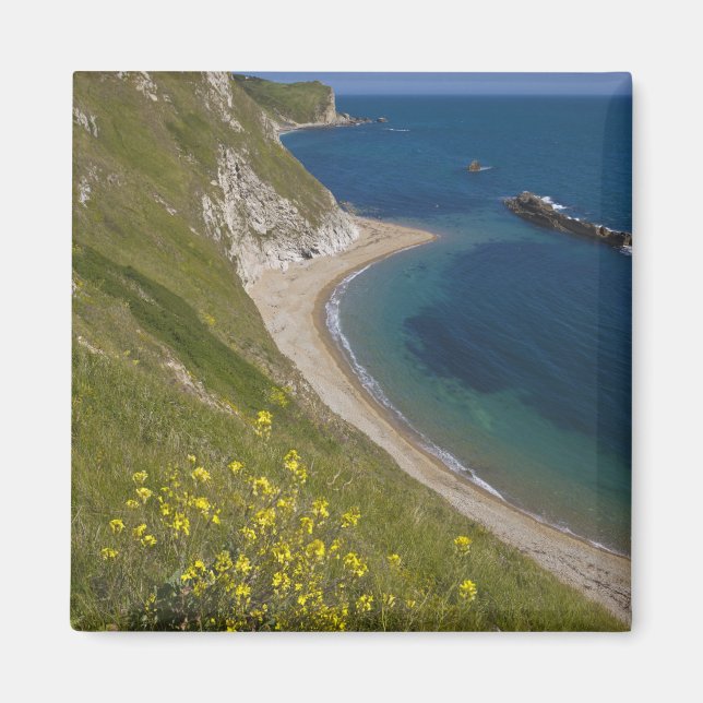 Imán Man of War Bay, Jurassic Coast, Lulworth, Dorset, (Frente)