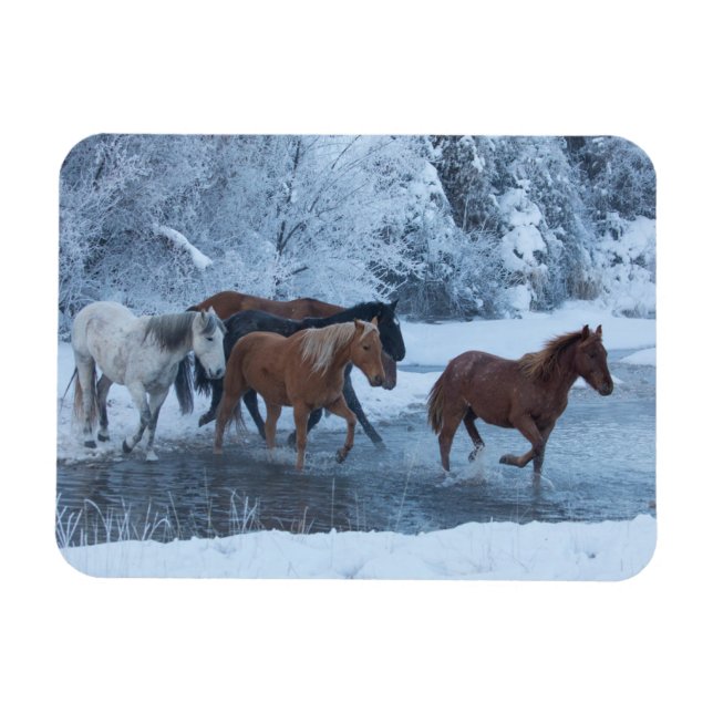 Imán Manada de Caballos en Invierno (Horizontal)