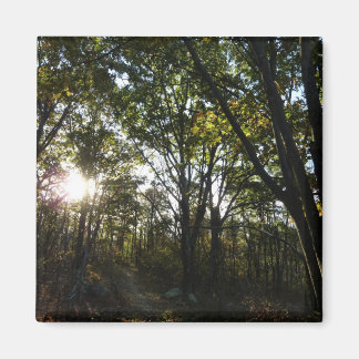 Imán Mañana de otoño en el Parque Nacional de Shenandoa
