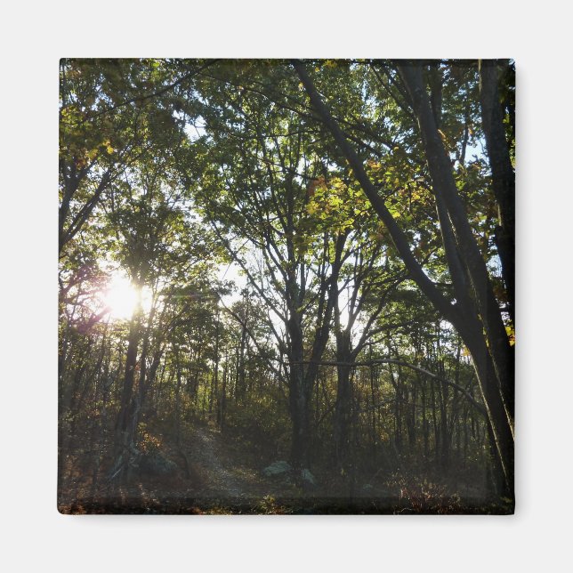 Imán Mañana de otoño en el Parque Nacional de Shenandoa (Frente)