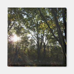 Imán Mañana de otoño en el Parque Nacional Shenandoah