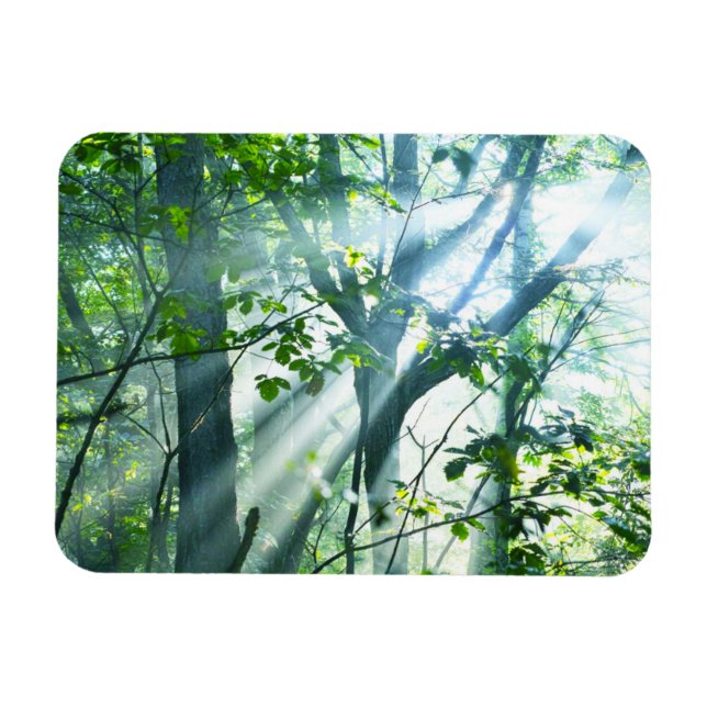 Imán Mañana en el bosque (Horizontal)