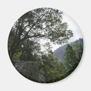 Imán Mañana en el sendero a las cataratas vernales en Y