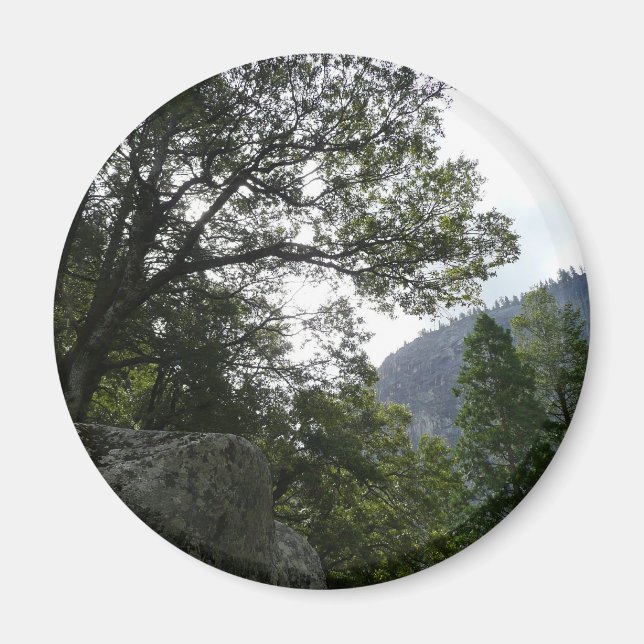 Imán Mañana en el sendero a las cataratas vernales en Y (Frente)