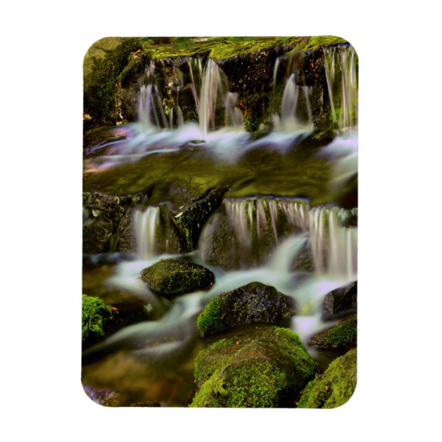 Imán Manantial de helechos, Parque Nacional Yosemite, C (Vertical)