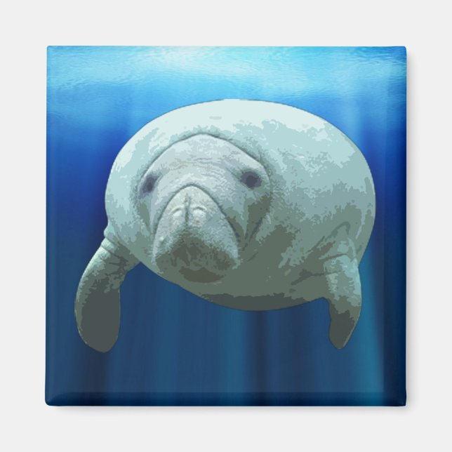 Imán Manatee Magnet (Frente)