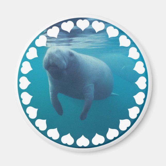 Imán Manatee Magnet (Frente)