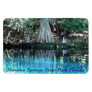 Imán Manatee Springs Fl Flexi Magnet