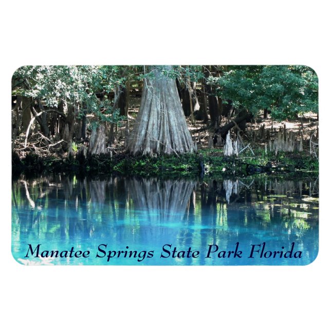 Imán Manatee Springs Fl Flexi Magnet (Horizontal)