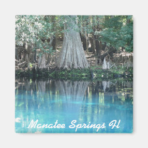 Imán Manatee Springs Fl Magnet