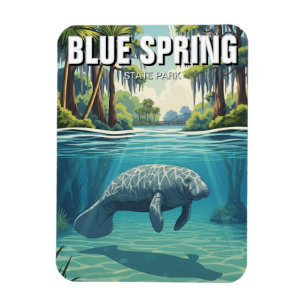 Imán Manatí en Blue Spring State Park