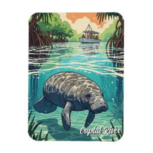Imán Manatí en Crystal River Florida