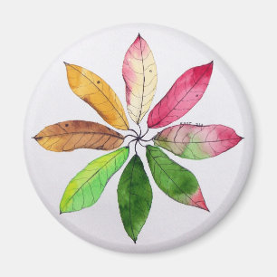 Imán Mandala se va