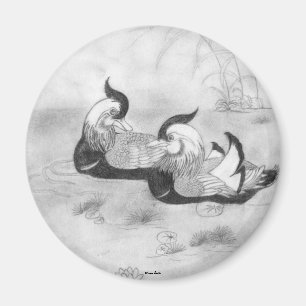 Imán Mandarin Ducks Magnet