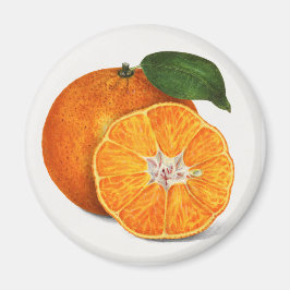 Imán Mandarina