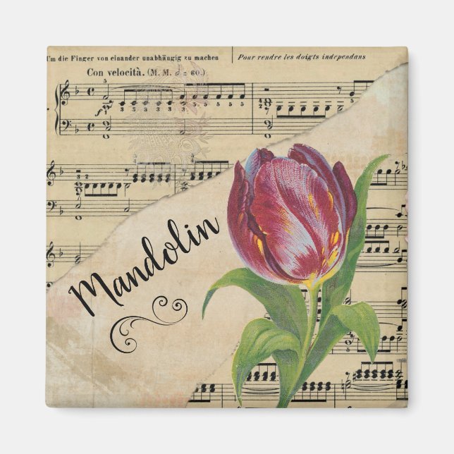 Imán Mandolin Elegant Tulip Vintage (Frente)