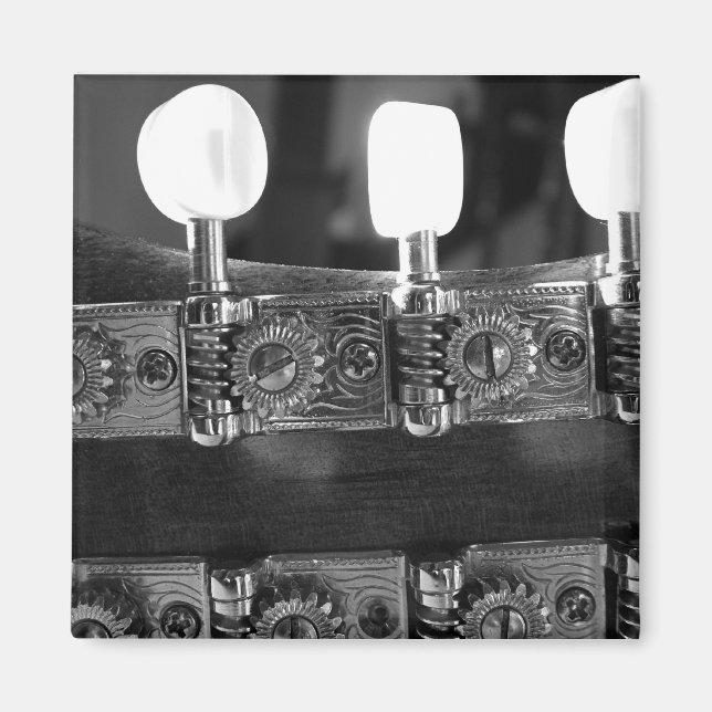 Imán Mandolin Tuning Pegs (Frente)