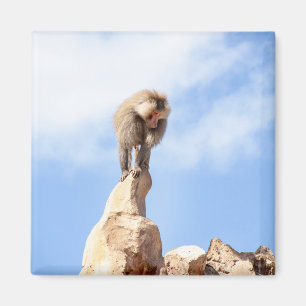Imán Mandríl majestuoso en la cima de la montaña