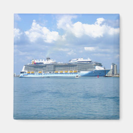 Imán Manejo cuántico Canaveral