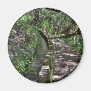 Imán Manera de camino de Madeira