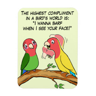 Imán Manera del loro y del pájaro del Lovebird que dic