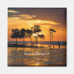 Imán Manglar Darwin, Australia,