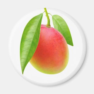 Imán Mango