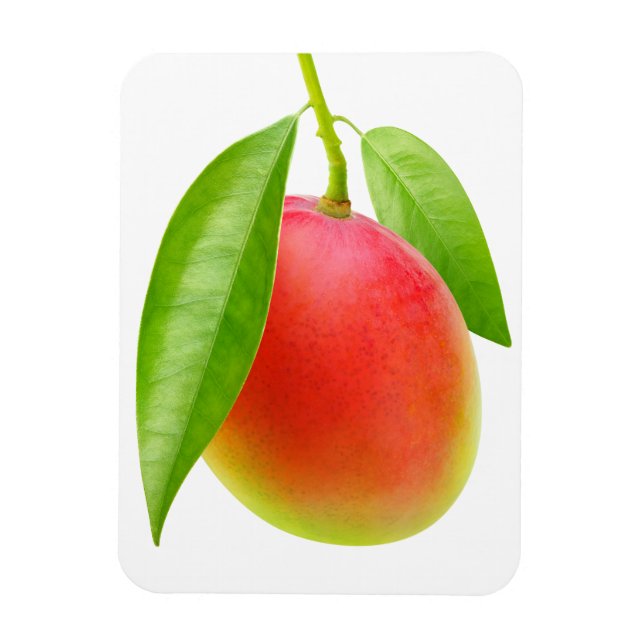Imán Mango (Vertical)
