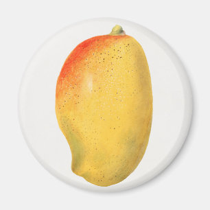 Imán Mango