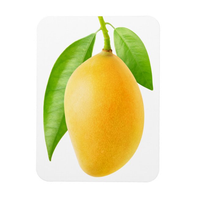 Imán Mango amarillo (Vertical)