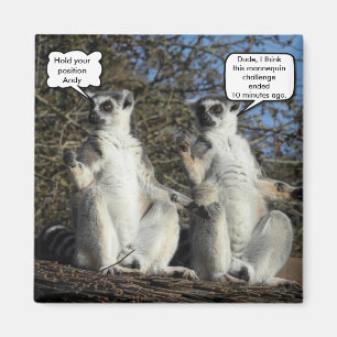 Imán Mannequin Challenged Lemurs